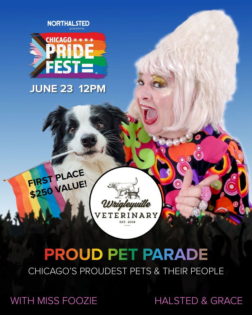 Chicago Pride Fest Proud Pet Parade 2023 SOCIAL