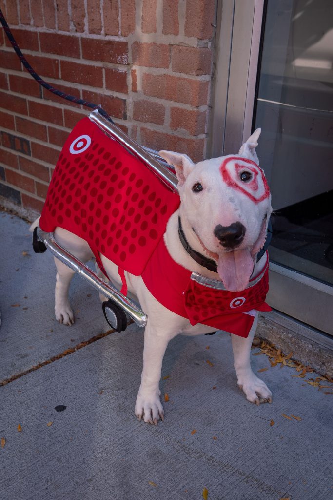 LH Pup Crawl 2024 Del Nakamura 1145