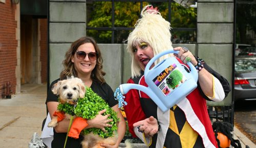 Copy of Z50 1274 Copy of Z50 1274