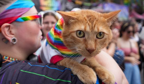 Ken Brown @kenbrown photos @gopride2024 Proud Pet Parade 35