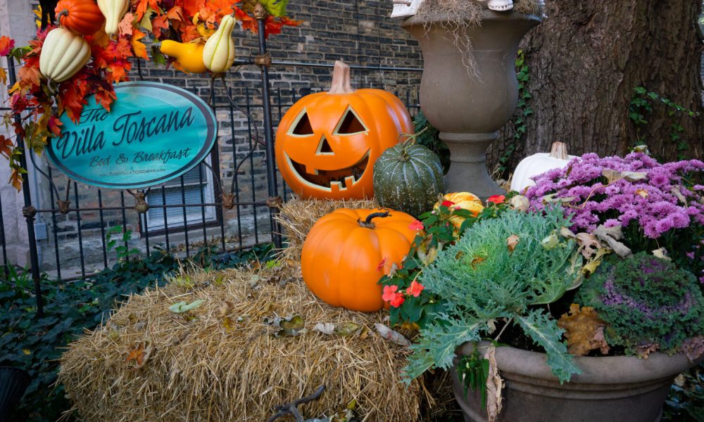 Northalsted Trick or Treat 2024 Del Nakamura 04531 Enhanced NR Edit