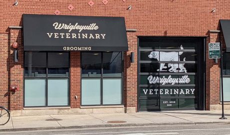 Wrigleyville Veterinary Business Photo