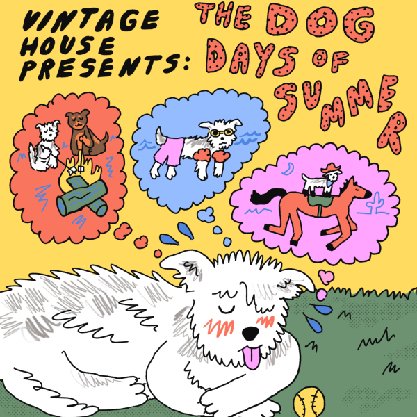 dog dayz1
